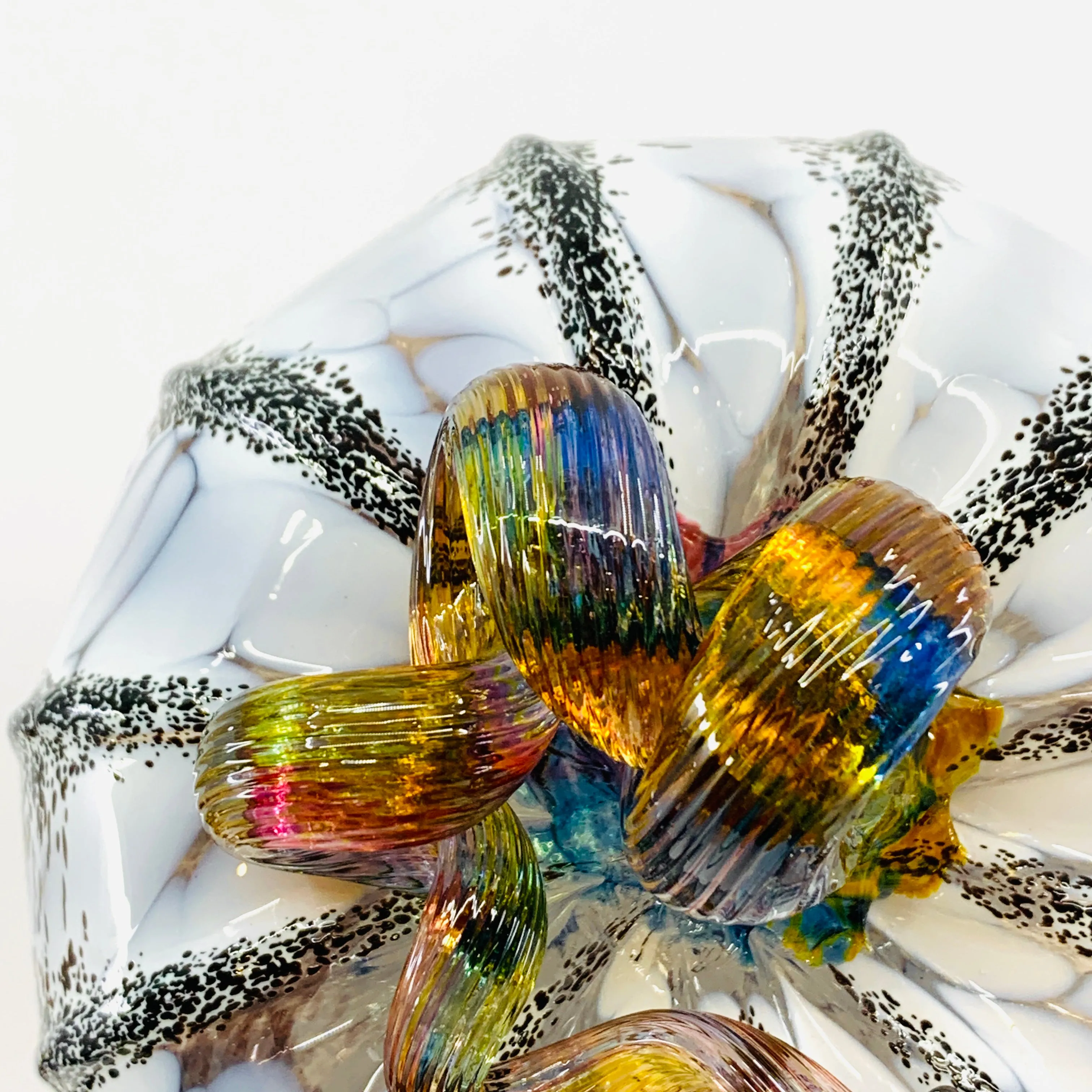 Best Daily Pumpkin 1525 “Rainbow Halloween” Squat