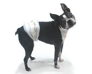 Best in Show Belly Band